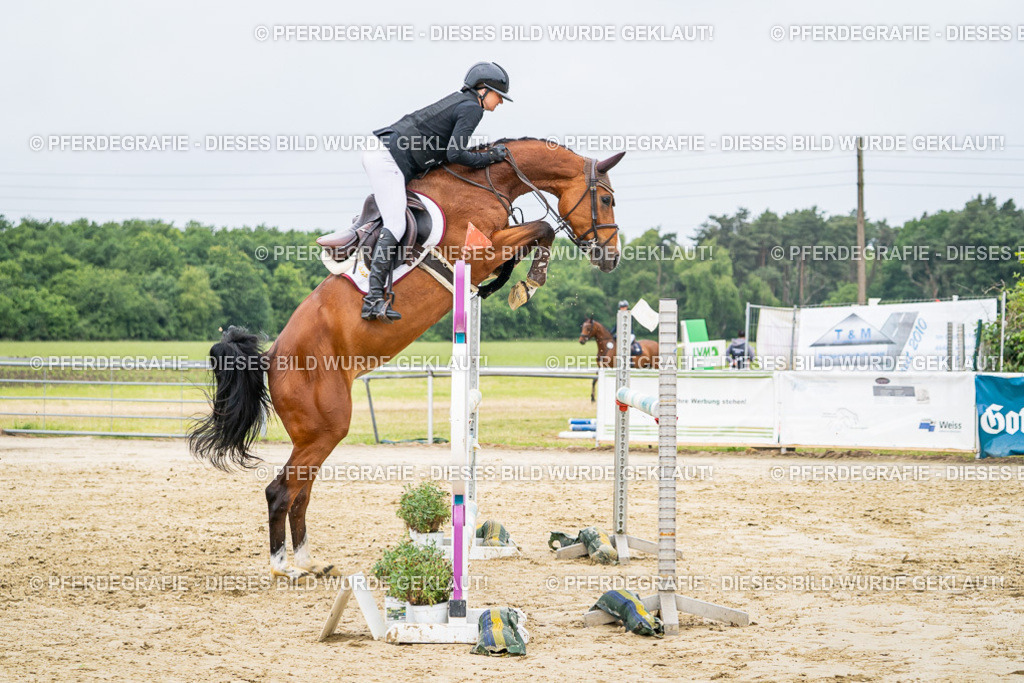 DSC02685 | Pferdegrafie