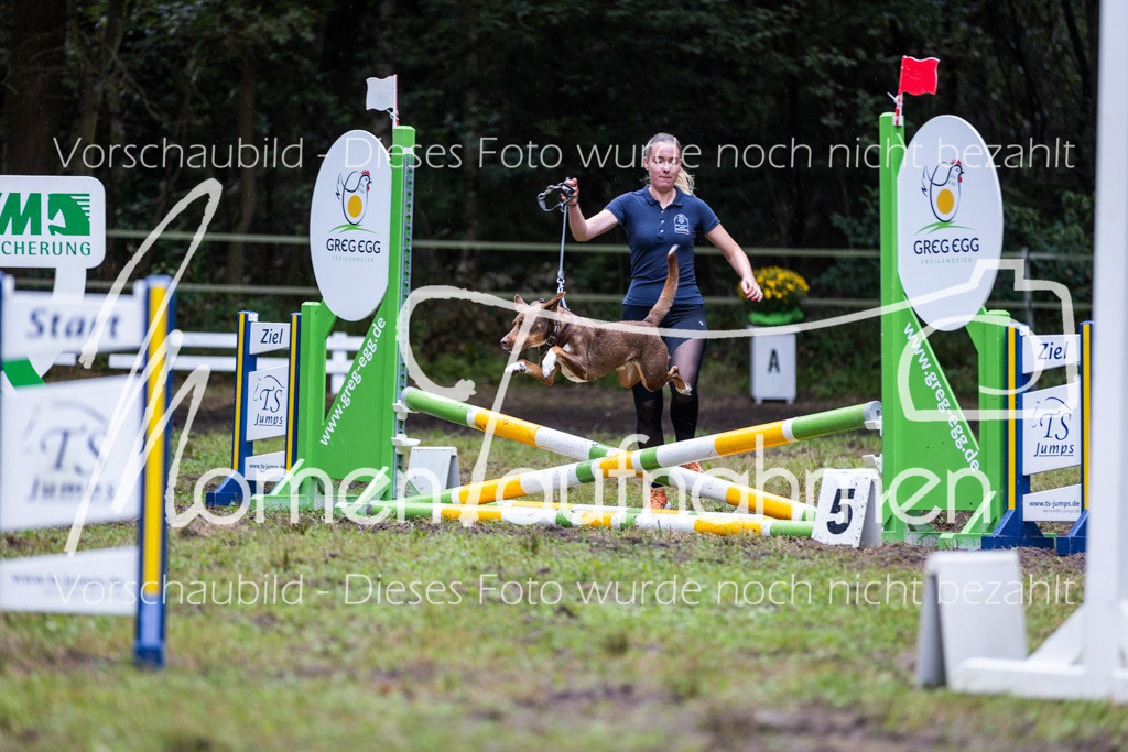 HB-JaD-031 | MomenTaufnahmen Pferdesportfotos