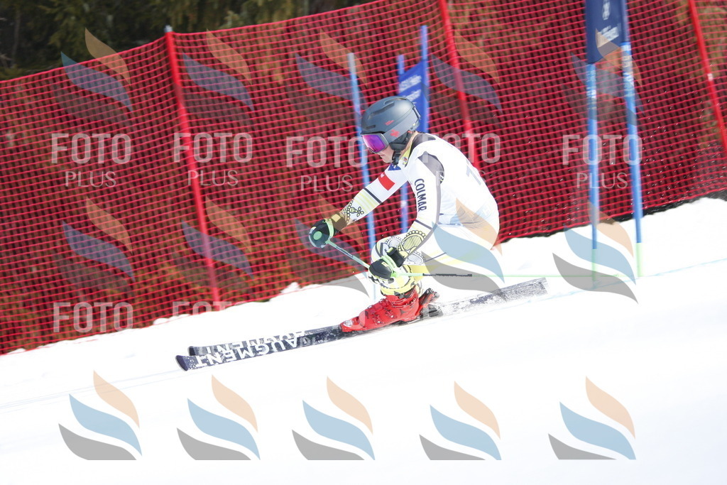 D7541 | holidayphoto