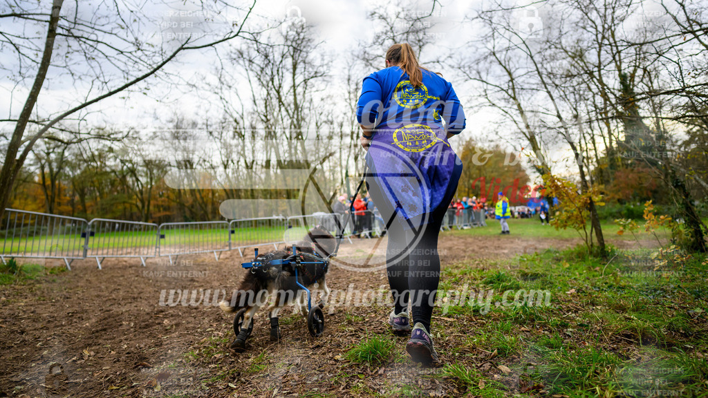 MompixPhotography_Bischwiller24_DI_CoursedeRelais-131 | PayLife