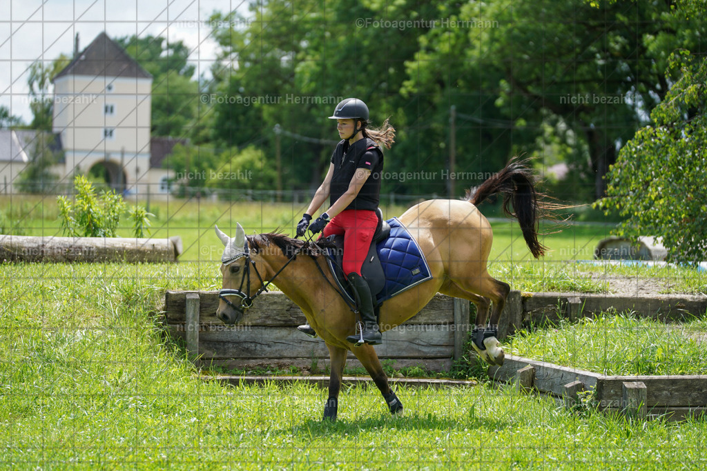 20240622-FAH07353 | Turnierfotografen Bayern, Reitsportbilder aus dem Geländekurs mit Felix Etzel auf dem Gut Waitzacker 2024