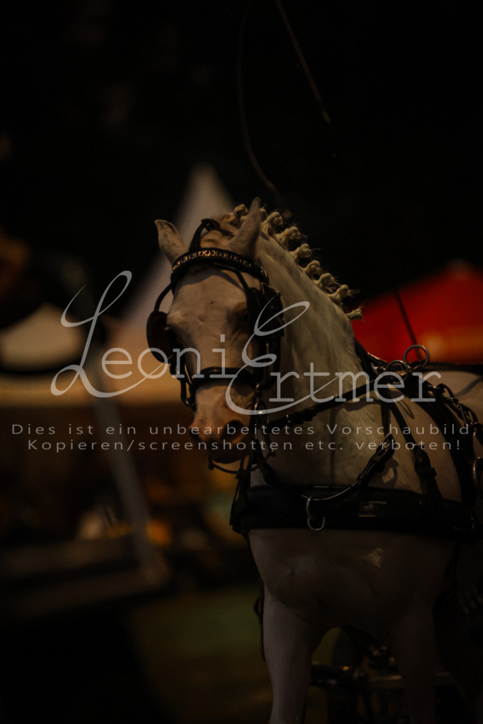 SaShow00308 | Leoni Ertmer Photography - Realisiert mit Pictrs.com