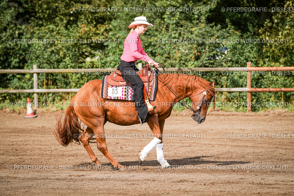 DSC09469 | Pferdegrafie