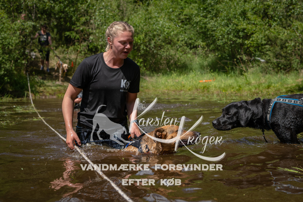 1319DKK994368 | kk-dogfotos