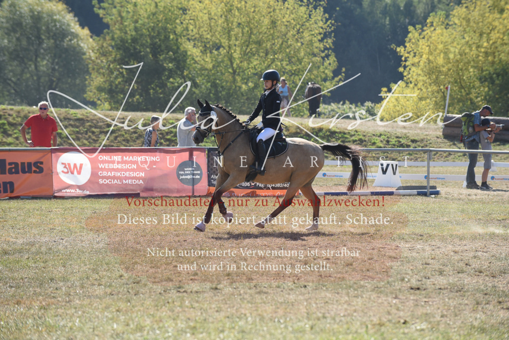 DSC_6074 | Pferde- und Turnierfotografie in Westsachsen. Pferdeportraits, Auftragszeichnungen und intuitive Kunst.