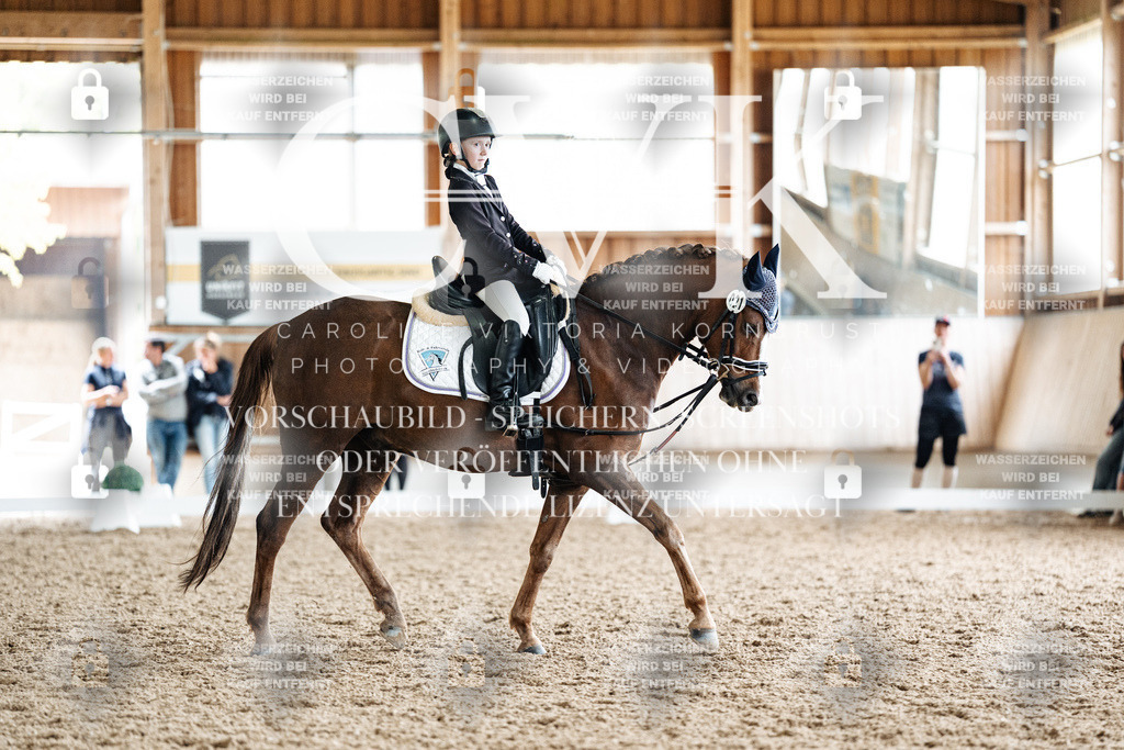 CK901698 | Turnierfotografie Pferdefotografie Trier Rheinland-Pfalz Pferdesport Reitsport Tierfotografie Sportfotografie Pferdevideo Pferdevideografie Equestrianvideography equestrianphotography  - Realisiert mit Pictrs.com
