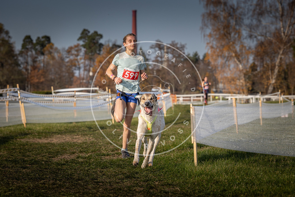 CaniXpix_0L8A0034 | Hundefotografie, Tierfotograf, Pfotenfotografie, Fotoshooting Hund, Hunde Portrait, Hundesport, Hundeportraits, Heideshooting, Hunde, Sportfotograf, Hundefotograf, Turnierhundsport, THS,  - Realisiert mit Pictrs.com