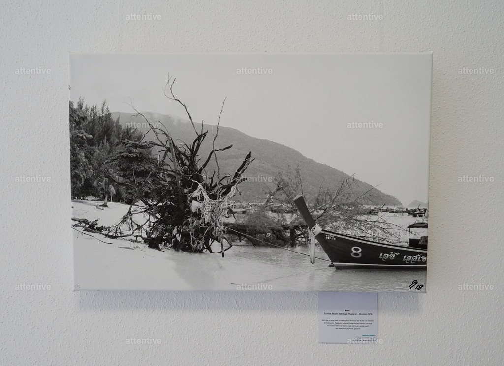 Root - 60 x 40 x 4 cm | Bestellbare Fotokunst von Melanie Stiebich: Analoge Schwarzweißbilder & digitale Farbwelten – als hochwertige Drucke für dein Zuhause. - Realisiert mit Pictrs.com