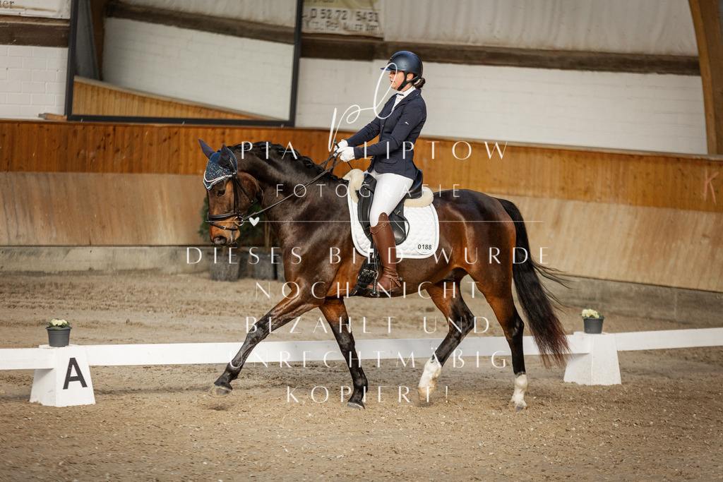 IMGT3802 | pl-fotografie