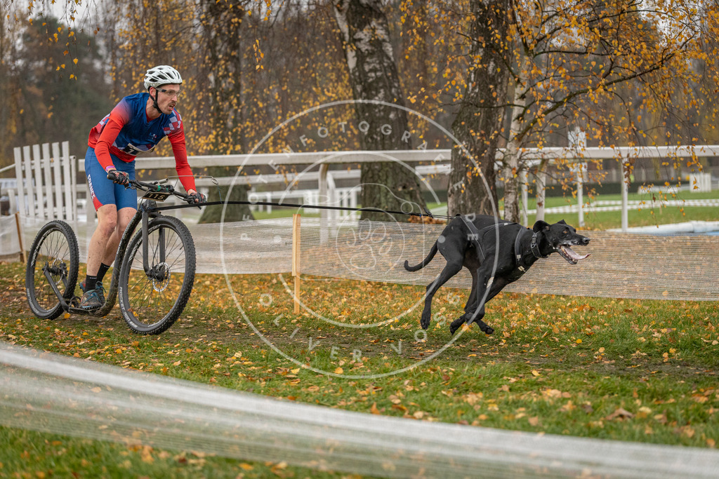 CaniXpix_DV3A8008 | Hundefotografie, Tierfotograf, Pfotenfotografie, Fotoshooting Hund, Hunde Portrait, Hundesport, Hundeportraits, Heideshooting, Hunde, Sportfotograf, Hundefotograf, Turnierhundsport, THS,  - Realisiert mit Pictrs.com