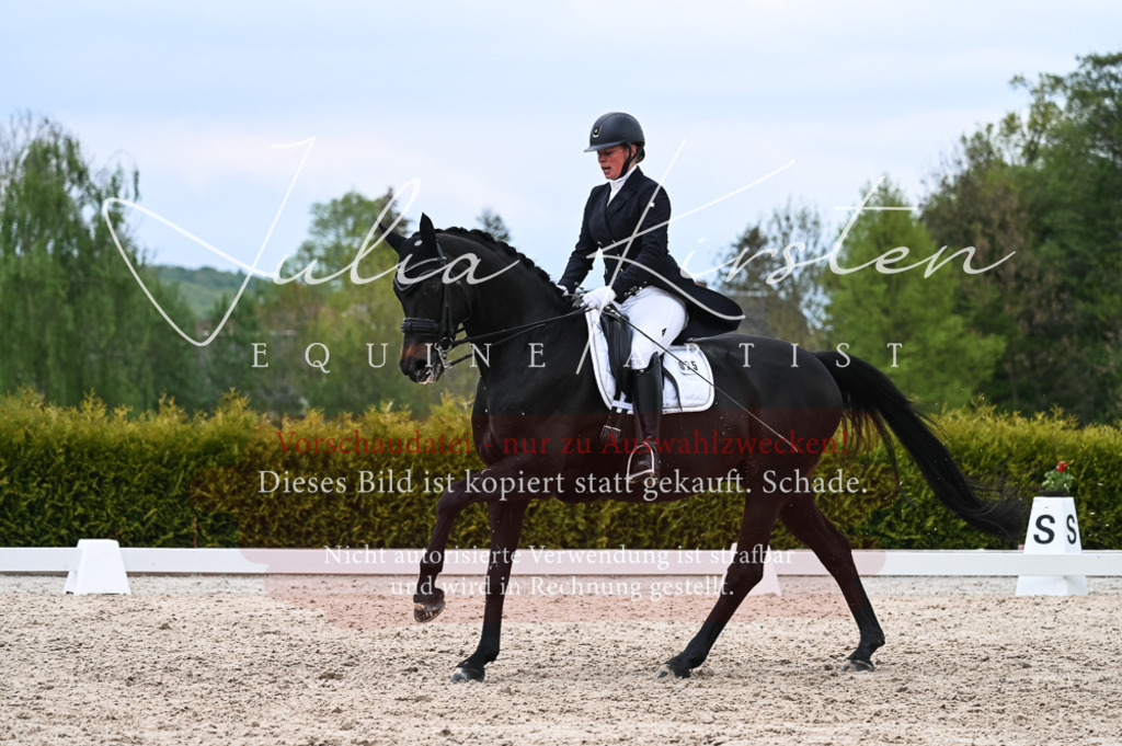 20230513_JK-Röhrsdorf-13-420 | Pferde- und Turnierfotografie in Westsachsen. Pferdeportraits, Auftragszeichnungen und intuitive Kunst.
