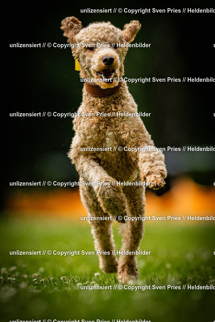 Sven Pries | 2025-05-29 - Pudelrennen KA-Durlach - Realisiert mit Pictrs.com