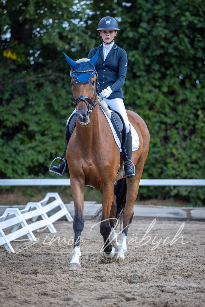 20260905-_3LI7836 | Tierfotografie Pferde, Hunde, Katzen, Haustiere.
Turnierfotografie Reitturniere, Reiten, Springreiten, Dressur in Hanau, dem Main-Kinzig-Kreis und dem Rhein-Main- Gebiet um Frankfurt