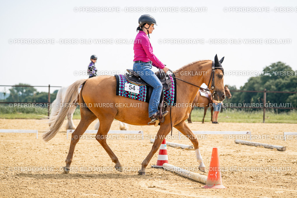 DSC00329 | Pferdegrafie