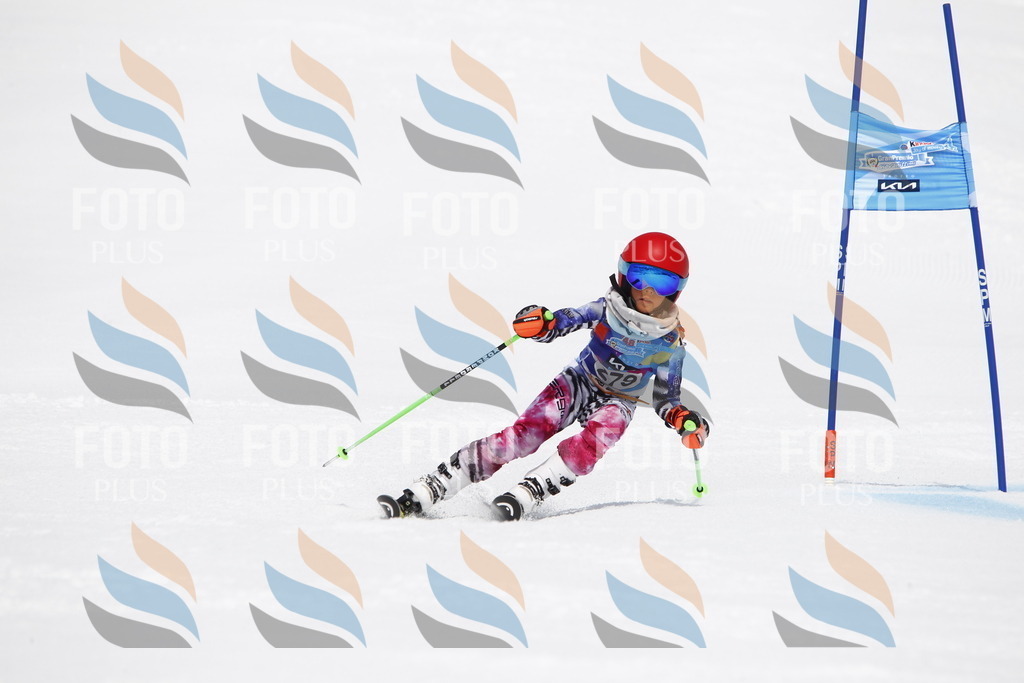 _U3G6993 | holidayphoto