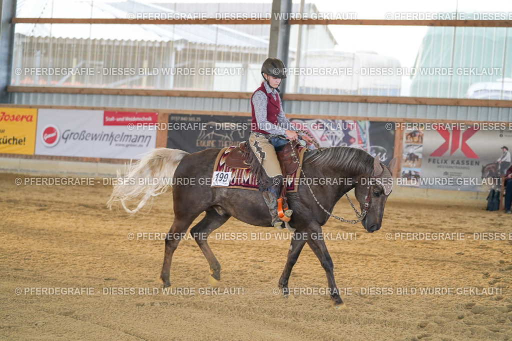 DSC08728 | Pferdegrafie