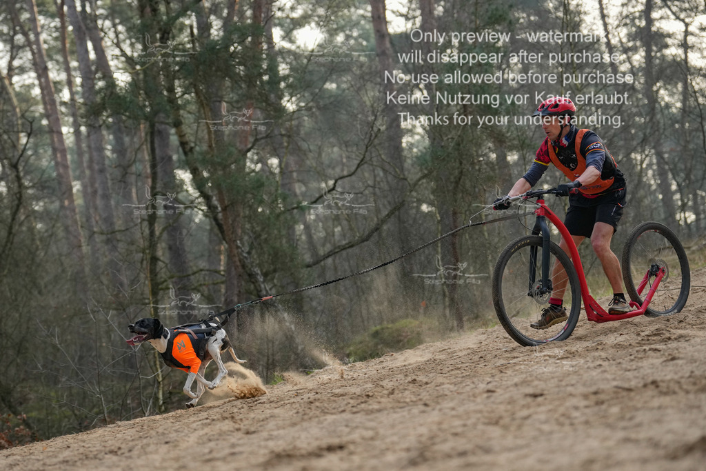 Scooter1-180 | stephaniefillaphotographie - Realisiert mit Pictrs.com