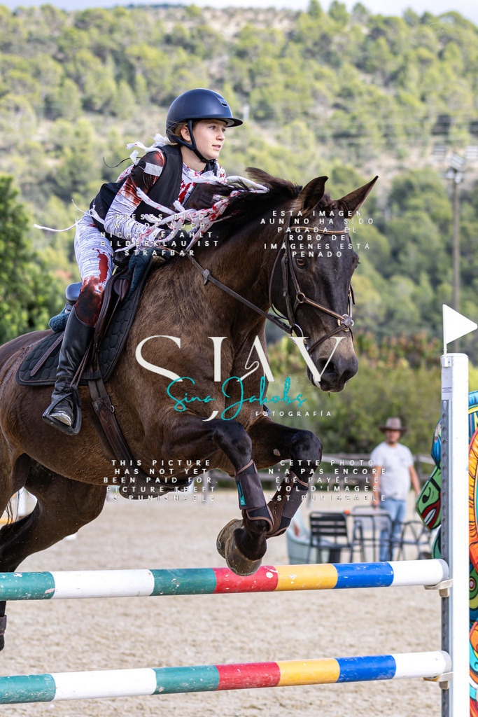 IMG_3513 | s-jay-photography - Realisiert mit Pictrs.com