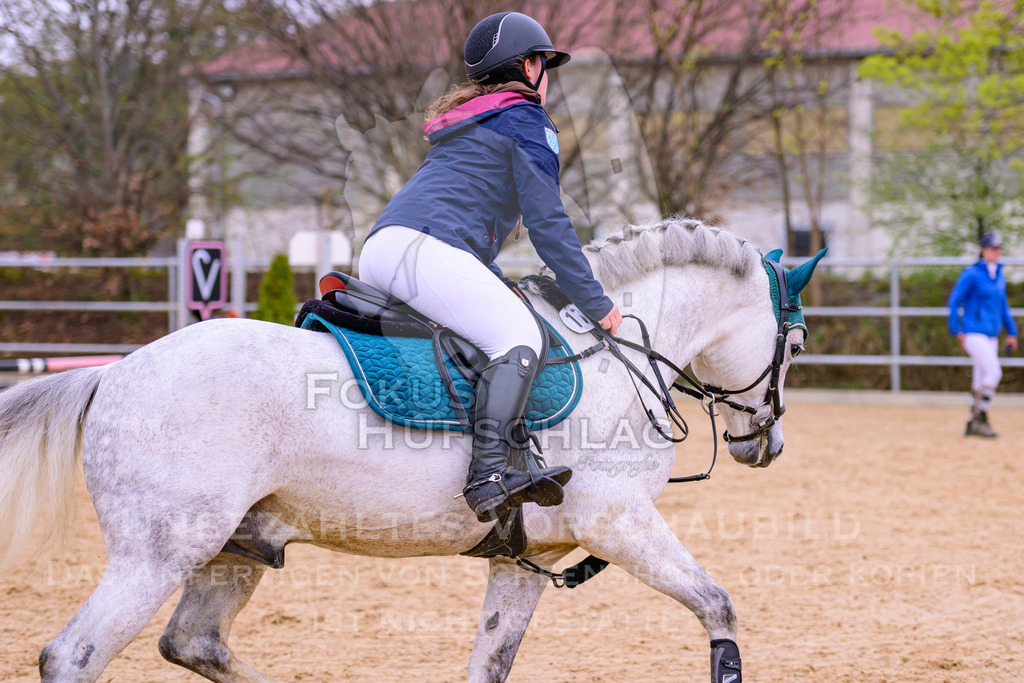 12042026-Mammendorf-Prfg40-1639 | Fokus Hufschlag Fotografie - Realisiert mit Pictrs.com
