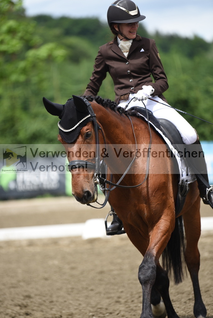 DSC_0933 | equestrian-live-com