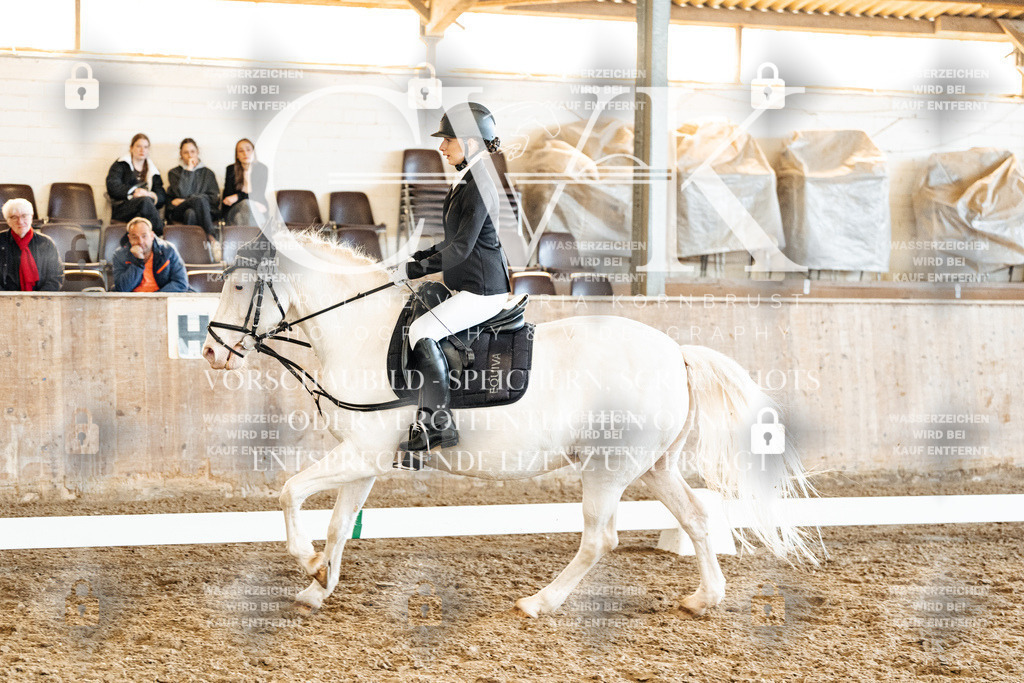 CK900271 | Turnierfotografie Pferdefotografie Trier Rheinland-Pfalz Pferdesport Reitsport Tierfotografie Sportfotografie Pferdevideo Pferdevideografie Equestrianvideography equestrianphotography  - Realisiert mit Pictrs.com