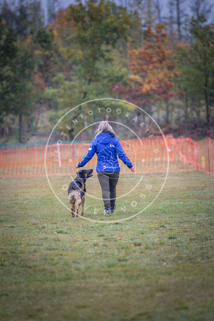 Pfotenfotografie_DV3A9563 | Hundefotografie, Tierfotograf, Pfotenfotografie, Fotoshooting Hund, Hunde Portrait, Hundesport, Hundeportraits, Heideshooting, Hunde, Sportfotograf, Hundefotograf, Turnierhundsport, THS,  - Realisiert mit Pictrs.com