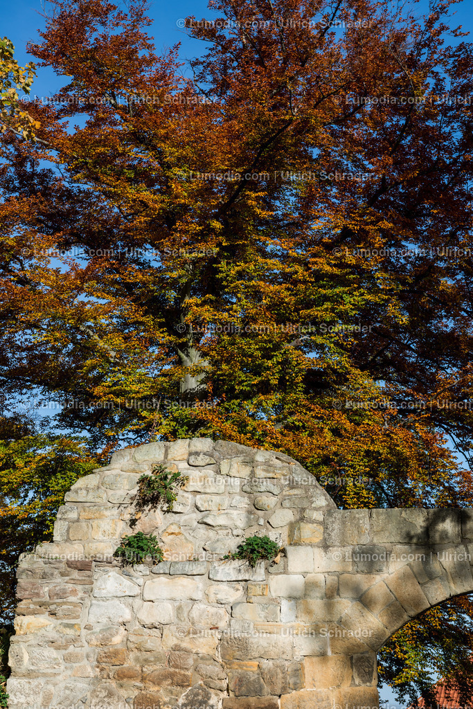 100494-3935 - Barockgarten Blankenburg | max. Bildgröße A2 | 300dpi - Realisiert mit Pictrs.com