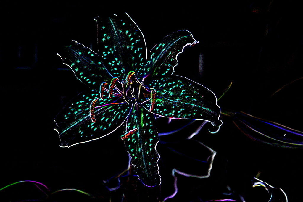 Keep learning | Moderne Digital Art – Exklusive Kunstwerke für dein Zuhause
Entdecke einzigartige Digital Art und verleihe deinen Räumen eine moderne und stilvolle Atmosphäre. Unsere hochwertigen Kunstdrucke kombinieren innovative Technik mit künstlerischer Kreativität und bringen abstrakte, geometrische und futuristische Designs direkt an deine Wand.
✔ Hochauflösende Drucke in brillanten Farben
✔ Exklusive Motive von talentierten Digital Artists
✔ Verschiedene Formate für jeden Raum und Stil
✔ Perfekt als Wandkunst für Wohnzimmer, Büro oder Galerie
Lass dich von unserer modernen, abstrakten und minimalistischen Kunst inspirieren und finde dein neues Lieblingsmotiv! Jetzt bestellen und dein Zuhause mit hochwertiger Digital Art verschönern.
 - Realisiert mit Pictrs.com