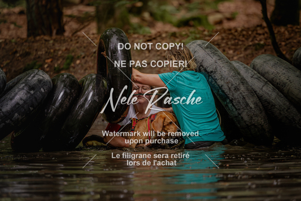 nelerasche_SaWingst1130-1200_86 | nelerasche