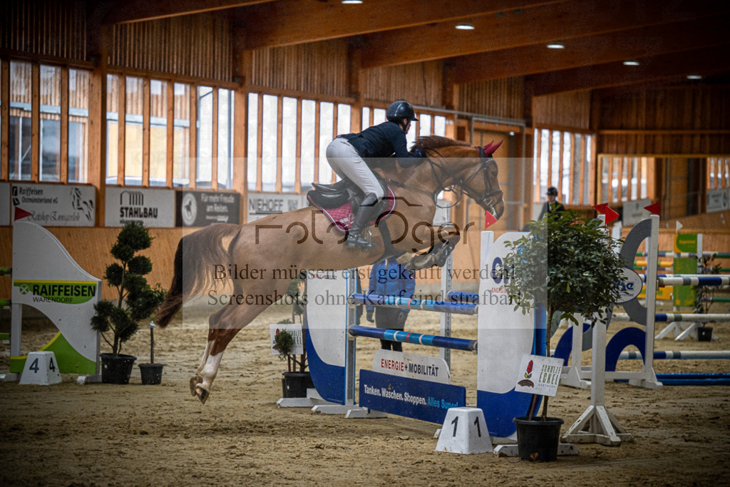 DOS_0757 | Entdecke hochwertige Reitturnierfotos von Foto Oger. Professionell, emotional und authentisch – jetzt Lieblingsmomente im Shop bestellen.Deutschlandweite Turnierfotografie. - Realisiert mit Pictrs.com