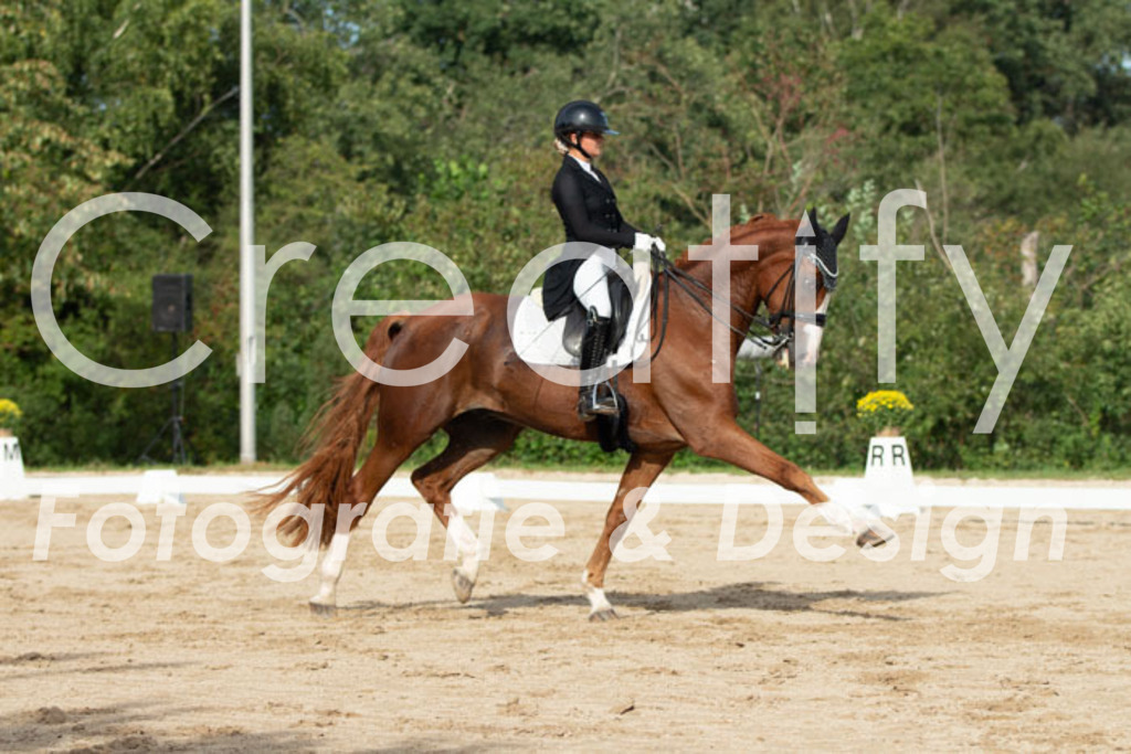 IMG_4209 | Creatify Fotografie