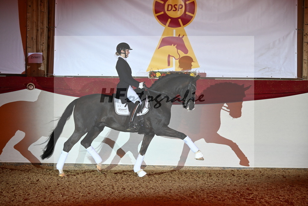 Bonds_Hoffrogge_3262973 | hf-fotografie - Realisiert mit Pictrs.com