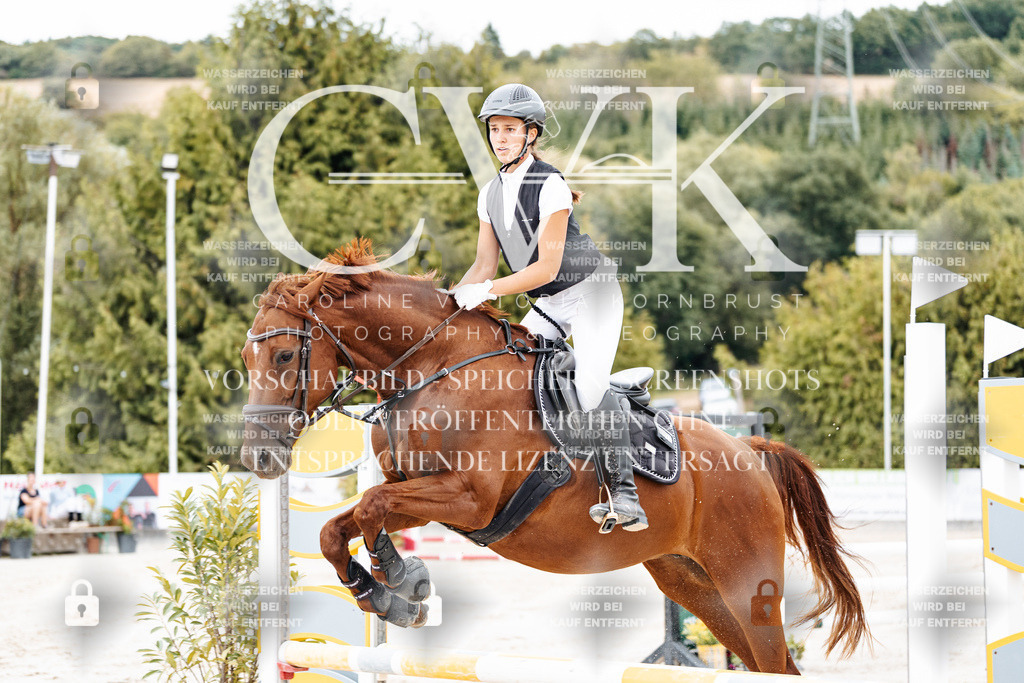 CK908169 | Turnierfotografie Pferdefotografie Trier Rheinland-Pfalz Pferdesport Reitsport Tierfotografie Sportfotografie Pferdevideo Pferdevideografie Equestrianvideography equestrianphotography  - Realisiert mit Pictrs.com