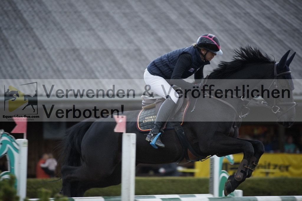 _DSC8281 | equestrian-live-com