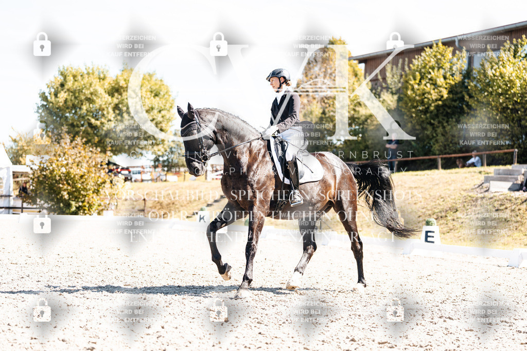 CK909908 | Turnierfotografie Pferdefotografie Trier Rheinland-Pfalz Pferdesport Reitsport Tierfotografie Sportfotografie Pferdevideo Pferdevideografie Equestrianvideography equestrianphotography  - Realisiert mit Pictrs.com