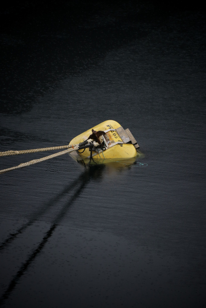 Boje im Fjord | Landschaftsbilder-MV - Realisiert mit Pictrs.com