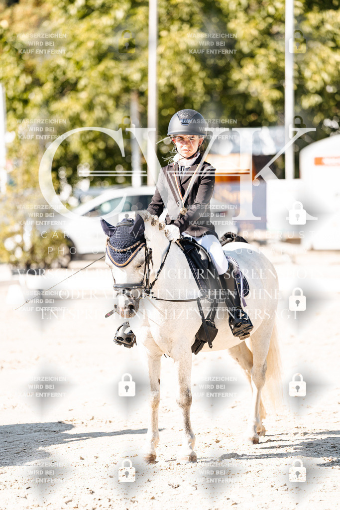 CK903229 | Turnierfotografie Pferdefotografie Trier Rheinland-Pfalz Pferdesport Reitsport Tierfotografie Sportfotografie Pferdevideo Pferdevideografie Equestrianvideography equestrianphotography  - Realisiert mit Pictrs.com