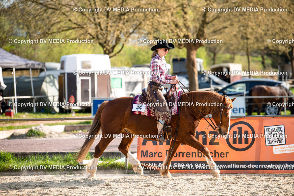 Heiligenwald Tag 1-1179 | dv-media-shop - Realisiert mit Pictrs.com