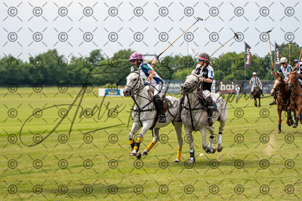 POL_3780 | andre_photographic