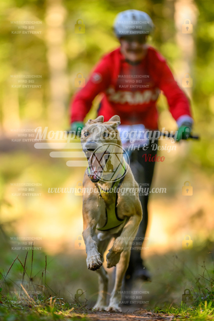 MompixPhotography_Yens2025_B3-136 | PayLife