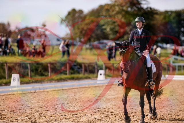 2026_10_03_Siefer-Hof_130122_Z81_53317472 | Professionelle Reitsport-, Turnier- und Eventfotografie von Robert Broda. Galerien mit ausgewählten und bearbeiteten Bildern direkt online ansehen und bestellen.
