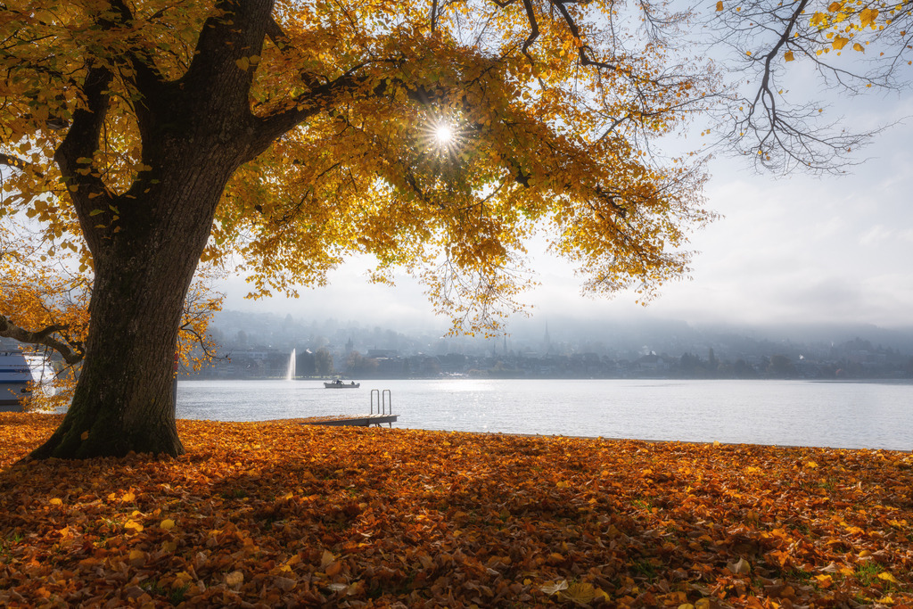 Golden Light 2 | Zugersee im Herbst - Realisiert mit Pictrs.com