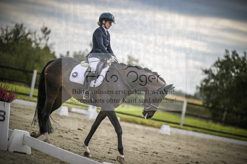 DOS_1449 | Entdecke hochwertige Reitturnierfotos von Foto Oger. Professionell, emotional und authentisch – jetzt Lieblingsmomente im Shop bestellen.Deutschlandweite Turnierfotografie. - Realisiert mit Pictrs.com