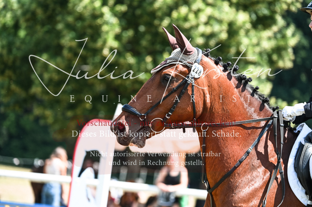 DSC_9899 | Pferde- und Turnierfotografie in Westsachsen. Pferdeportraits, Auftragszeichnungen und intuitive Kunst.
