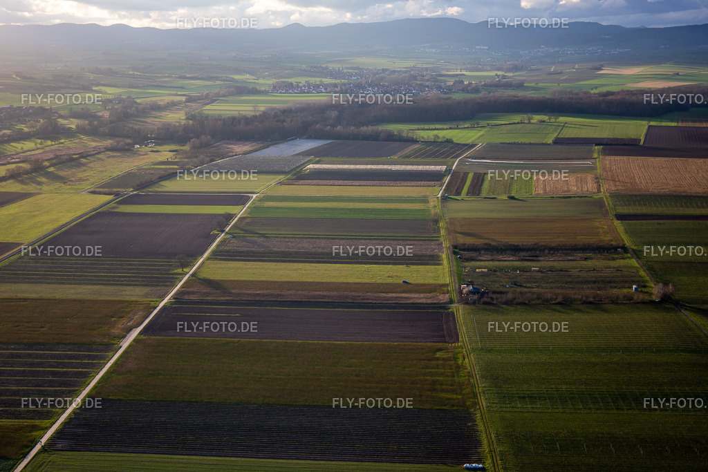 Ortsansicht | Luftbild: Ortsansicht im Ortsteil Mühlhofen in Billigheim-Ingenheim im Bundesland Rheinland-Pfalz in Deutschland. Foto: IMG_135788.jpg vom 03.01.2023 durch ©2025 Werner Riehm fly-foto.de/copyright - Realisiert mit Pictrs.com