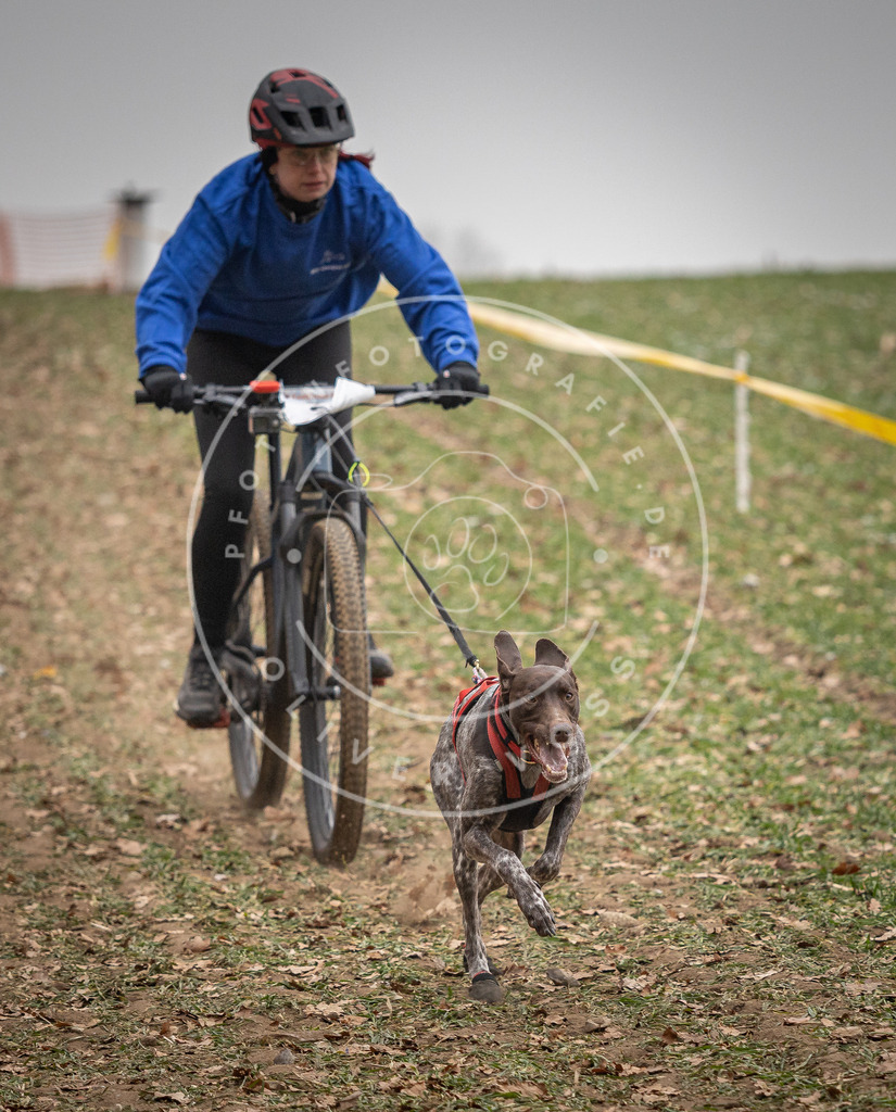 Pfotenfotografie_DV3A2872 | Hundefotografie, Tierfotograf, Pfotenfotografie, Fotoshooting Hund, Hunde Portrait, Hundesport, Hundeportraits, Heideshooting, Hunde, Sportfotograf, Hundefotograf, Turnierhundsport, THS,  - Realisiert mit Pictrs.com