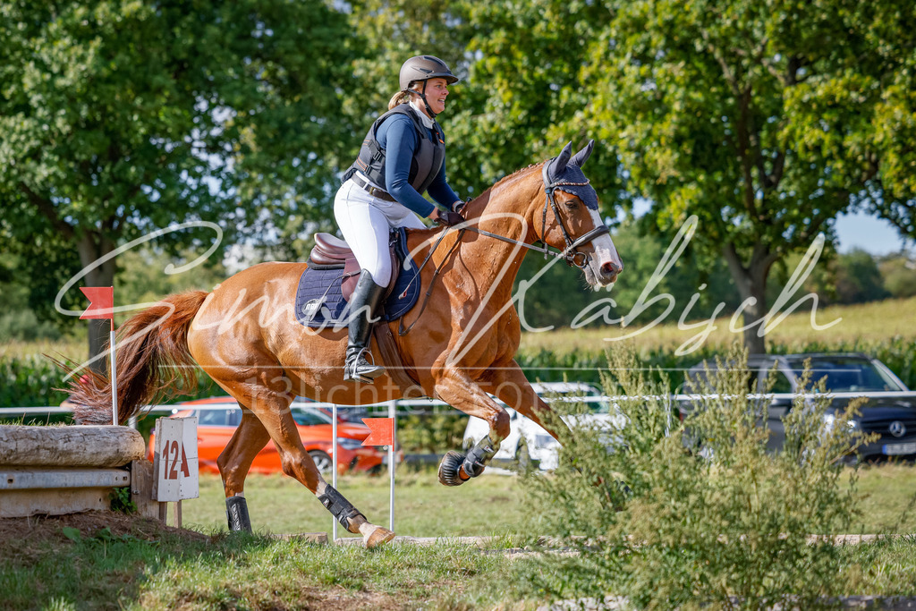 20250905-_3LI1210 | Tierfotografie Pferde, Hunde, Katzen, Haustiere.
Turnierfotografie Reitturniere, Reiten, Springreiten, Dressur in Hanau, dem Main-Kinzig-Kreis und dem Rhein-Main- Gebiet um Frankfurt