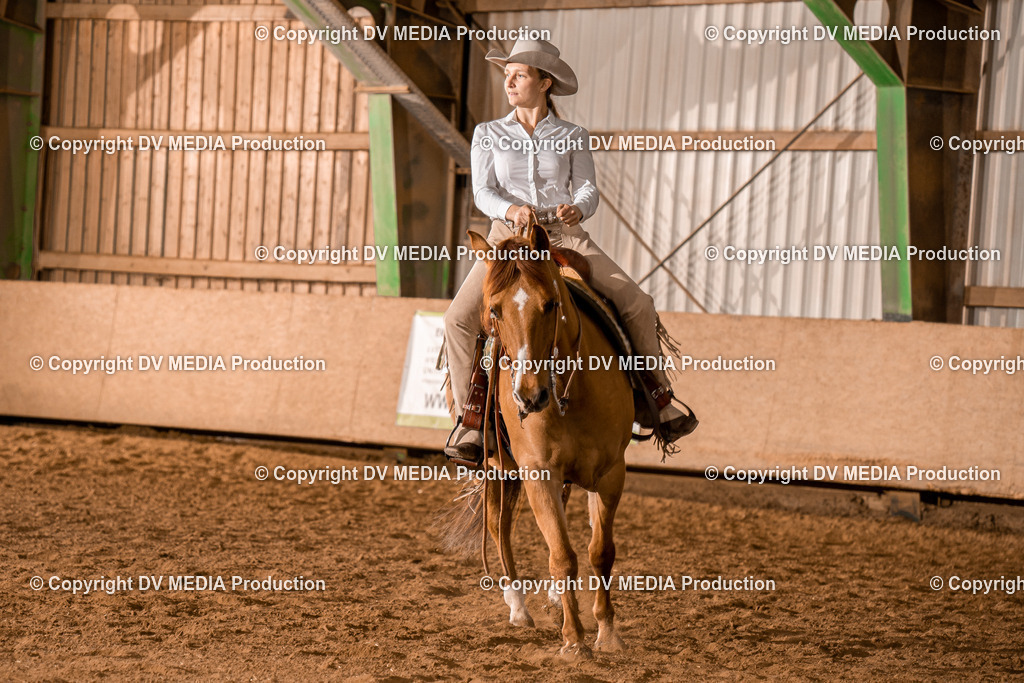 BAL01864 | dv-media-shop - Realisiert mit Pictrs.com