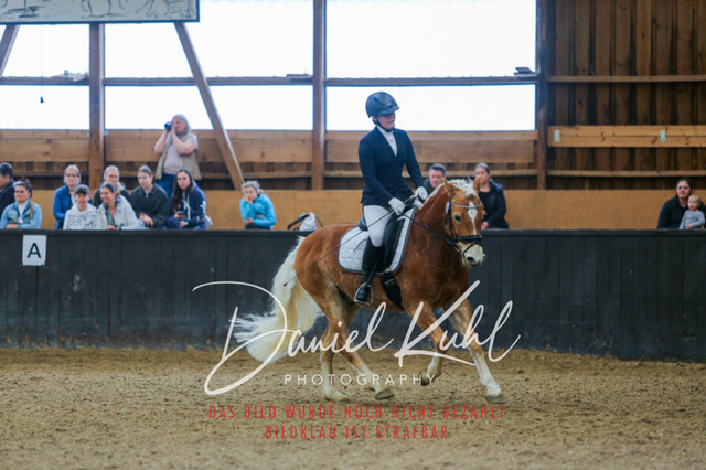 IMG_0380 | Turniersportfotografie; Pferdefotografie; Dressurfotografie