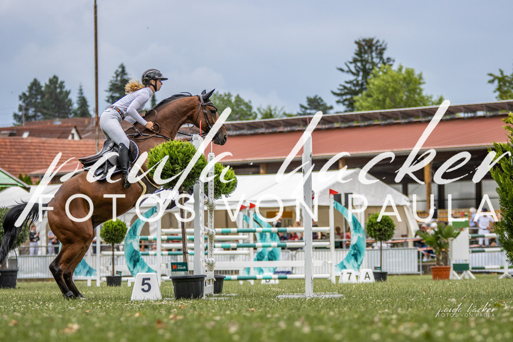 IMG_7365 | Erleben Sie dynamische Sport- und emotionale Tierfotografie in Süddeutschland mit Fotos von Paula. Spezialisiert auf Pferde- und Hundefotografie sowie Sportevents. Kontaktieren Sie mich für einzigartige und ausdrucksstarke Bilder Ihrer besonderen Momente. - Realisiert mit Pictrs.com